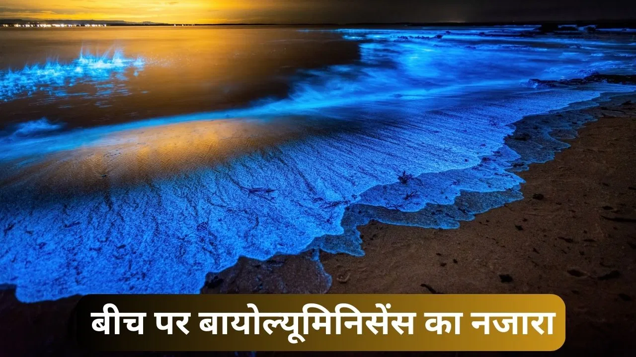 क्रिस्टल की तरह चमकती हैं लहरें और रेत, देश के ये बीच रात में दिखते हैं जादुई